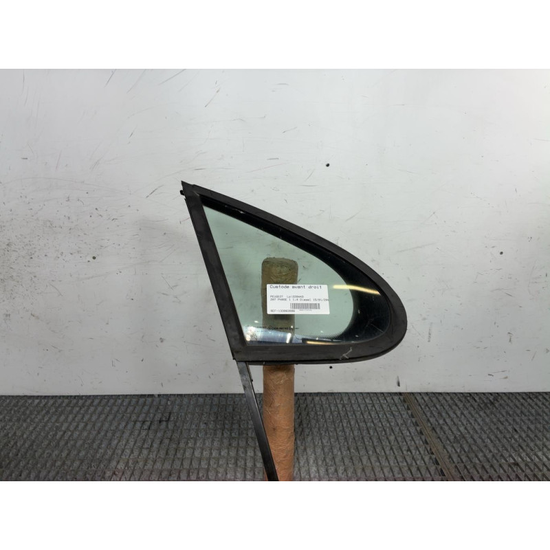 Custode avant droit (porte) PEUGEOT 207 Photo n°1