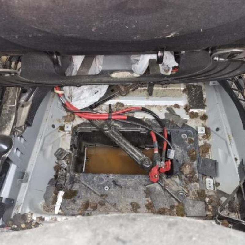 Ceinture avant gauche BMW X5 E53 Photo n°12