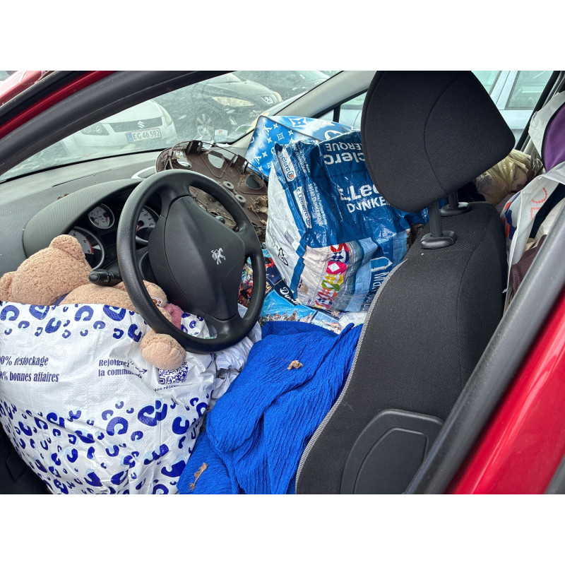 Poignee porte arriere droit PEUGEOT 207 Photo n°9