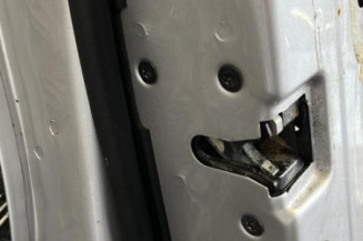 Porte avant gauche VOLVO S 80 1