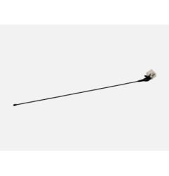 Antenne RENAULT KANGOO 1