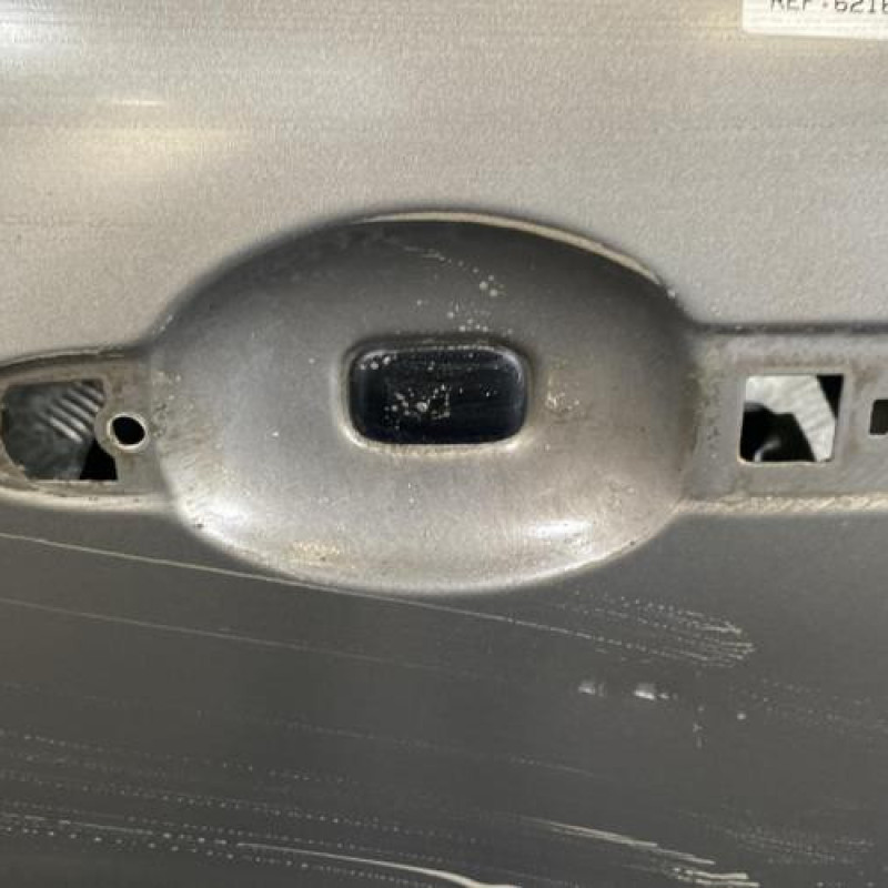 Porte avant gauche RENAULT LAGUNA 3 Photo n°3