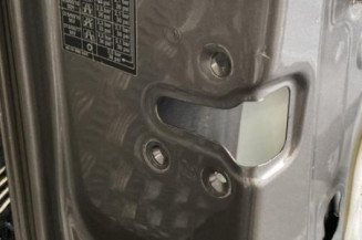Porte avant gauche RENAULT LAGUNA 3