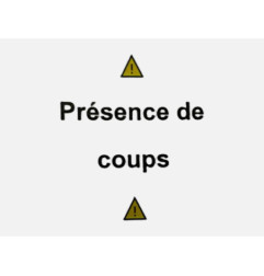 Capot PEUGEOT PARTNER 1