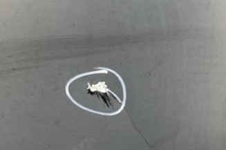 Porte avant droit RENAULT MASTER 1