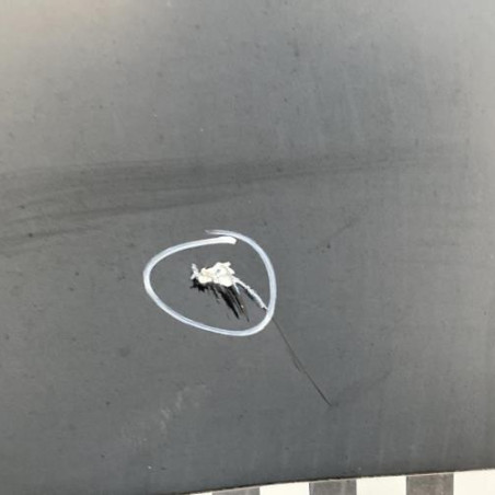 Porte avant droit RENAULT MASTER 1