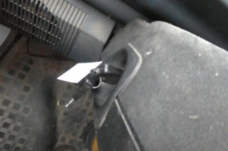 Porte de coffre droit RENAULT MASTER 1