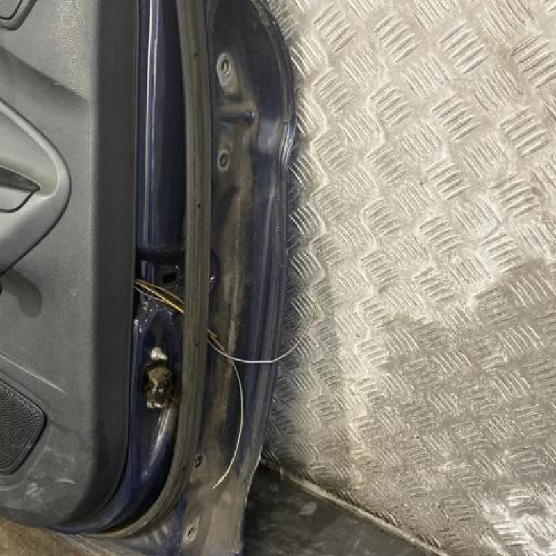 Porte arriere gauche FORD FIESTA 6 Photo n°4