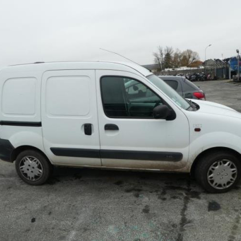 Porte de coffre droit RENAULT KANGOO 1 Photo n°7
