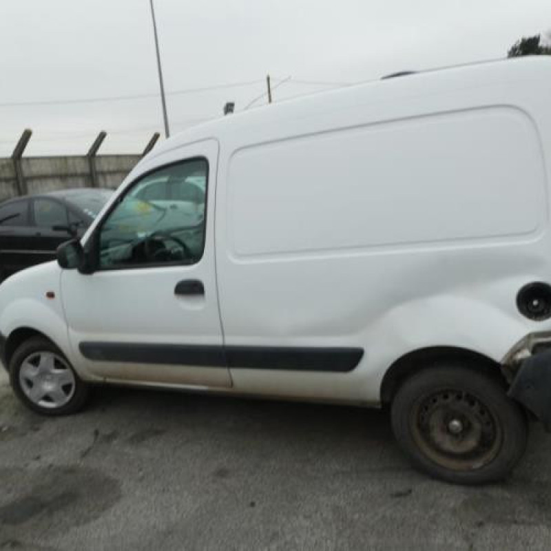Porte de coffre droit RENAULT KANGOO 1 Photo n°9