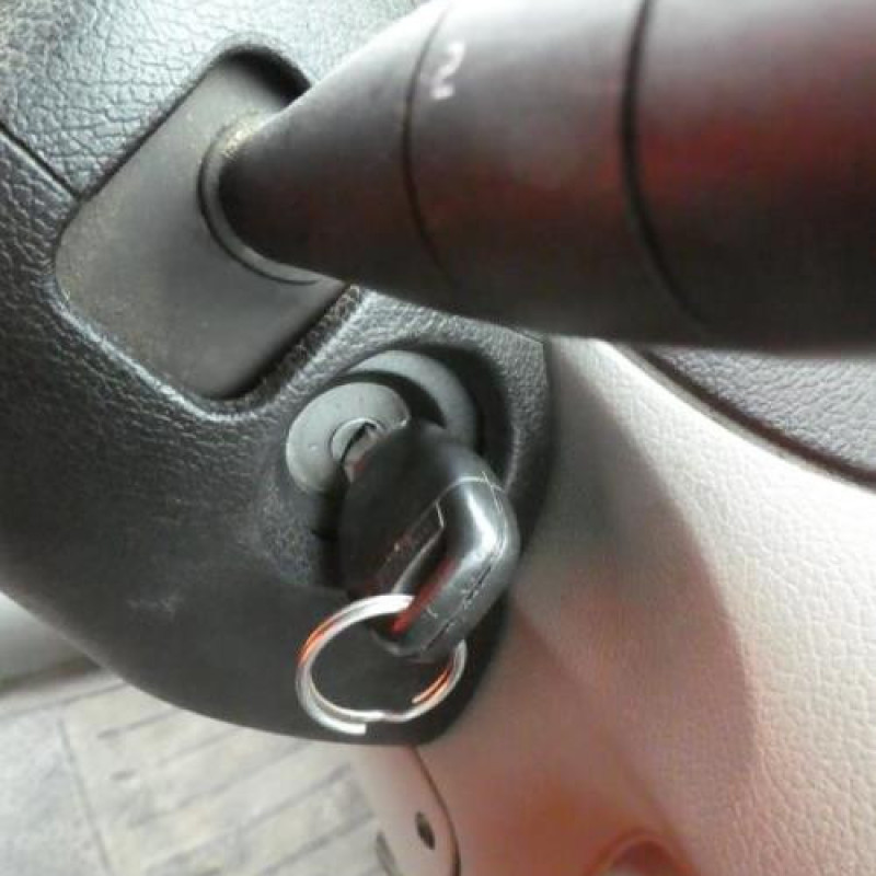 Porte de coffre droit RENAULT KANGOO 1 Photo n°16