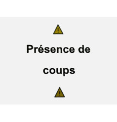 Aile avant gauche CITROEN XSARA PICASSO
