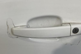 Porte avant gauche OPEL ASTRA H