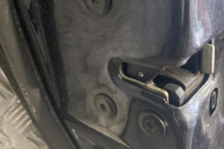 Porte arriere gauche RENAULT MEGANE 2