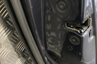 Porte arriere gauche RENAULT VEL SATIS