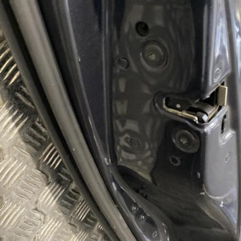 Porte arriere gauche RENAULT VEL SATIS Photo n°4