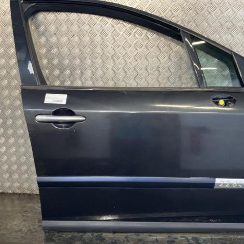 Porte avant droit RENAULT VEL SATIS Photo n°1