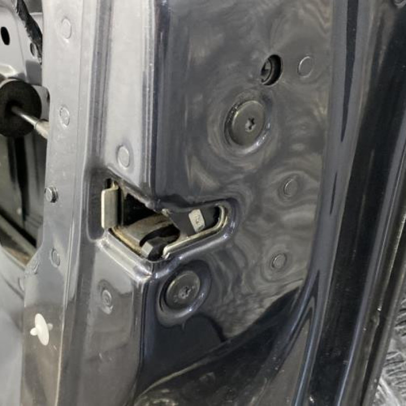Porte avant droit RENAULT VEL SATIS Photo n°5