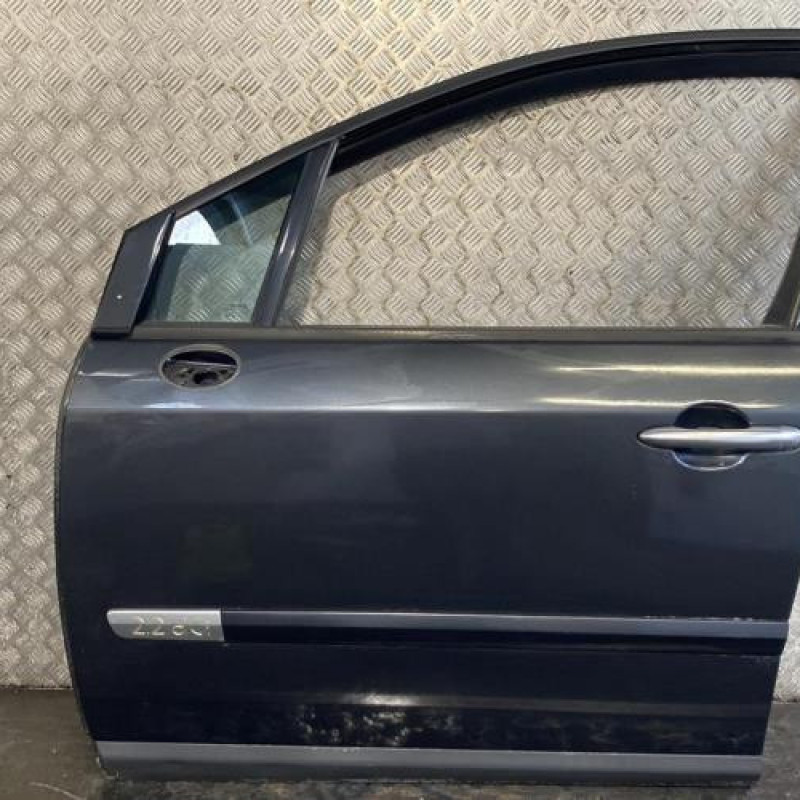 Porte avant gauche RENAULT VEL SATIS Photo n°1