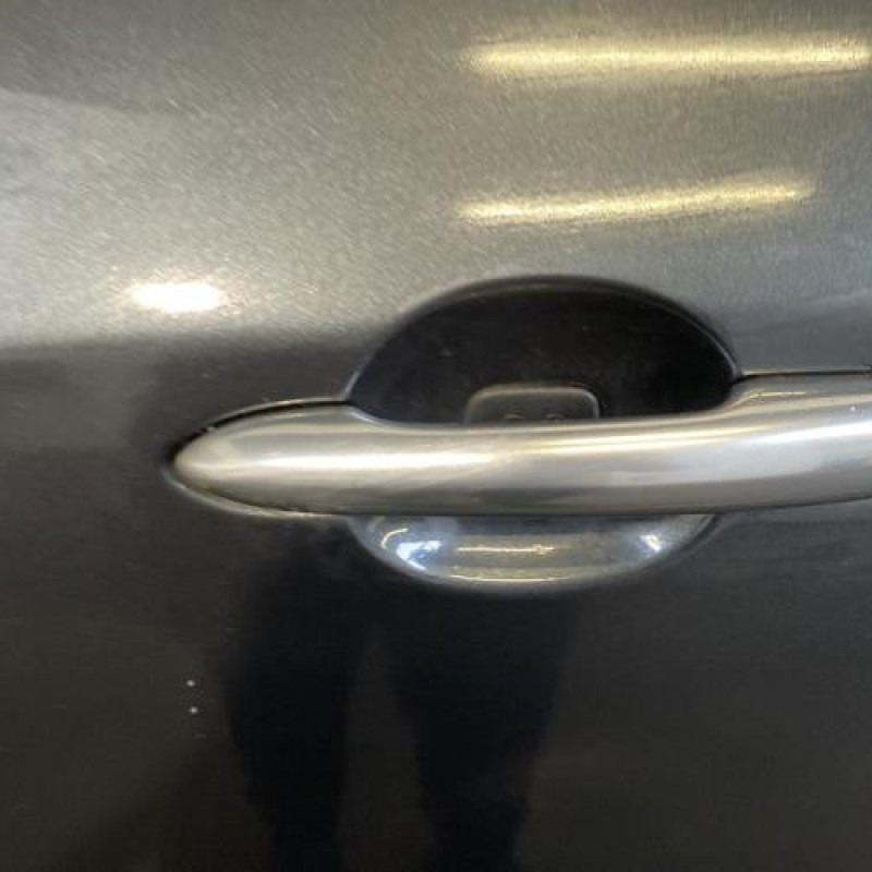 Porte avant gauche RENAULT VEL SATIS Photo n°2