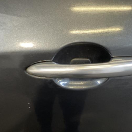 Porte avant gauche RENAULT VEL SATIS