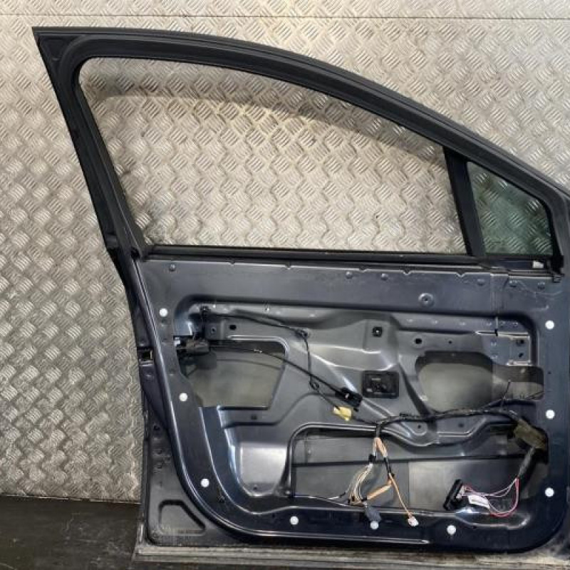 Porte avant gauche RENAULT VEL SATIS Photo n°3