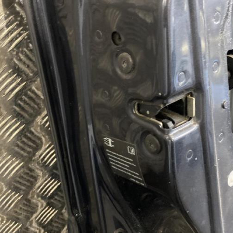 Porte avant gauche RENAULT VEL SATIS Photo n°4