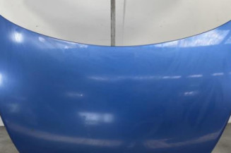 Capot VOLKSWAGEN NEW BEETLE 1 Photo n°1