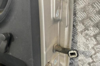 Porte arriere gauche SKODA FABIA 2