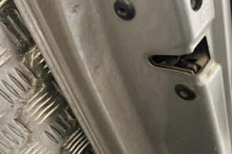 Porte arriere gauche SKODA FABIA 2