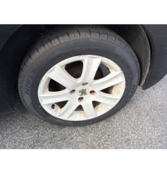 Mastervac PEUGEOT 207