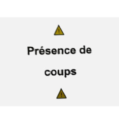 Aile avant gauche CITROEN C5 1