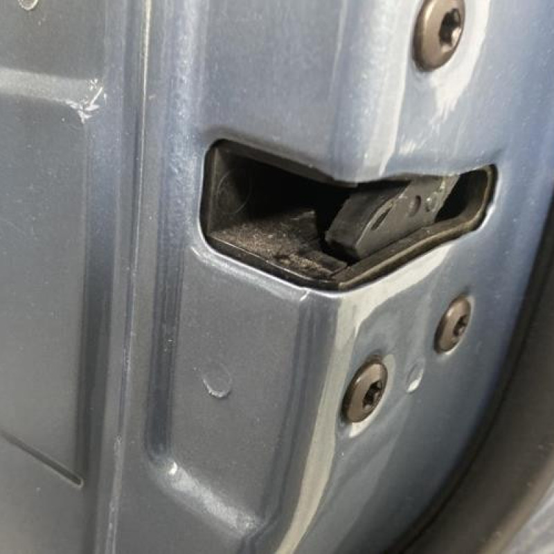 Porte avant droit KIA CARNIVAL 2 Photo n°8