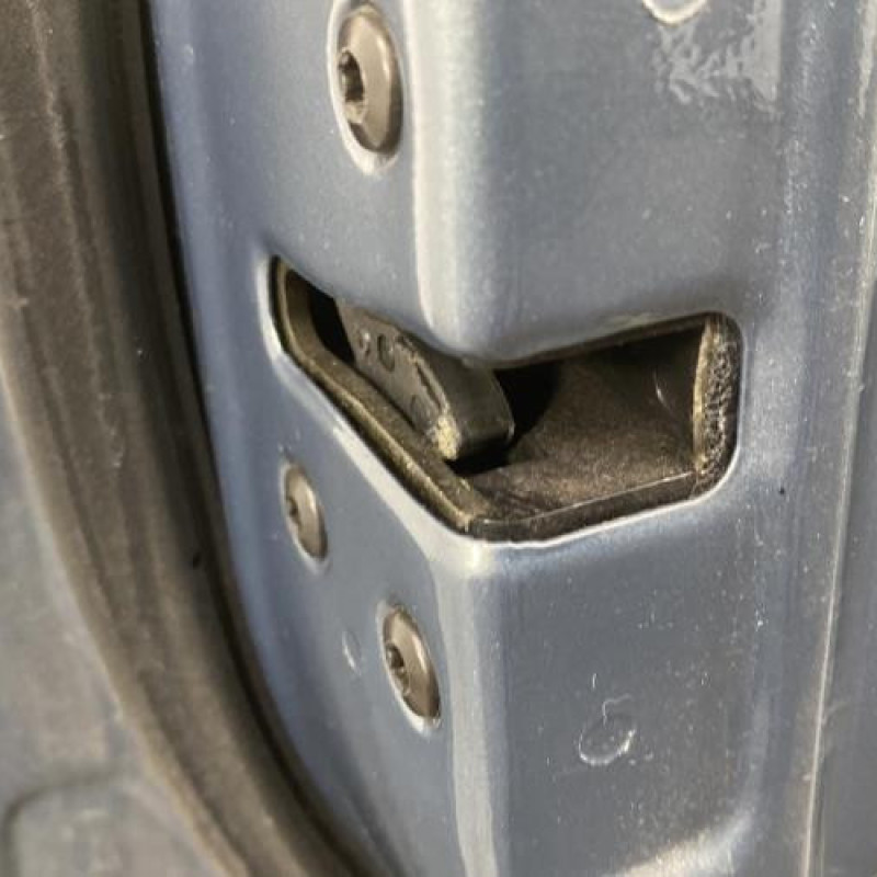 Porte avant gauche KIA CARNIVAL 2 Photo n°5