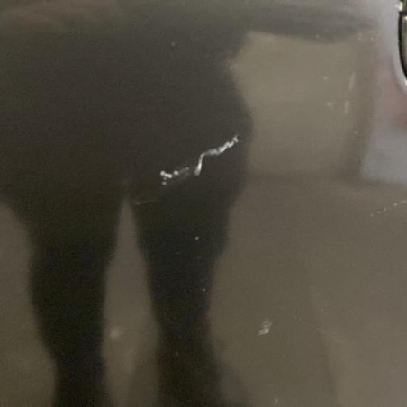 Porte avant gauche PEUGEOT 607