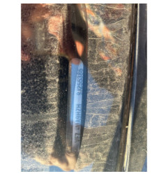 Anti brouillard arriere gauche CITROEN C4 GRAND PICASSO 1