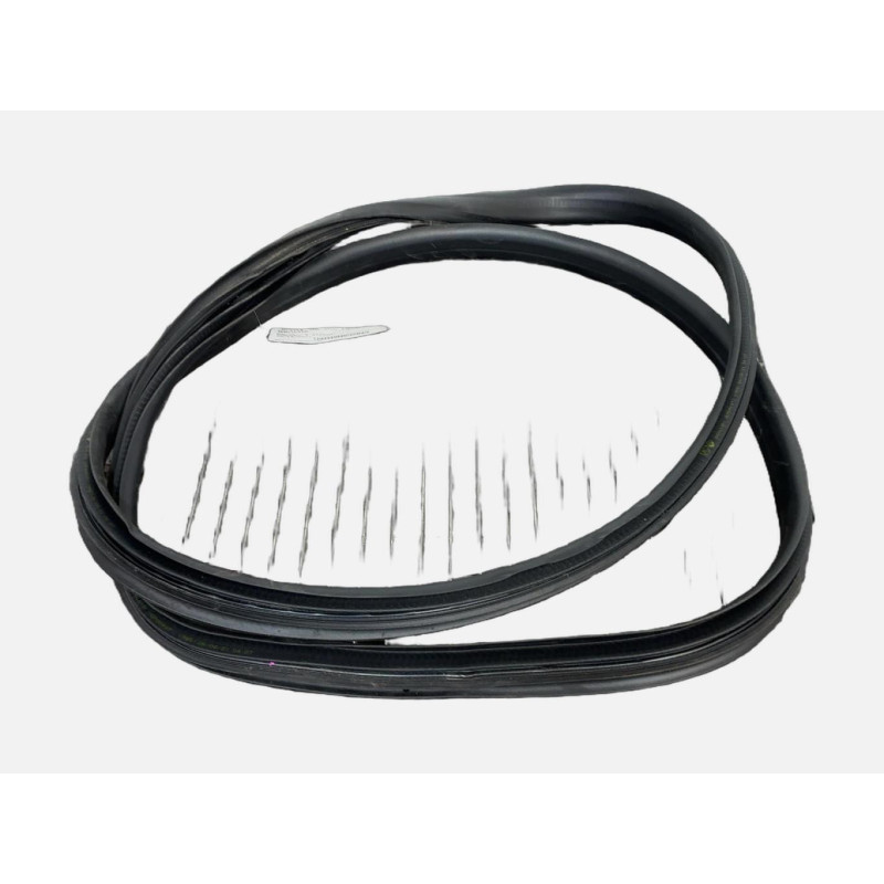 Joint de porte arriere gauche DACIA SANDERO 3 STEPWAY Photo n°3