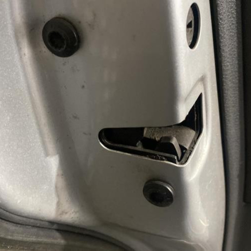 Porte arriere gauche VOLKSWAGEN POLO 4 Photo n°6