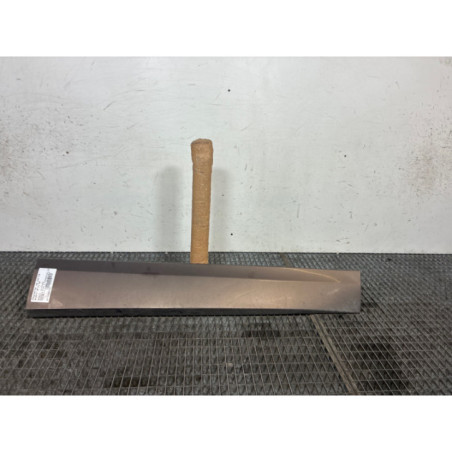 Baguette de porte avant droite RENAULT SCENIC 3