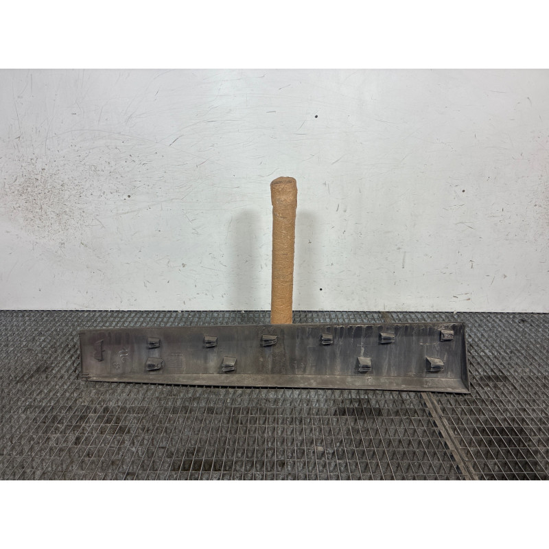 Baguette de porte avant droite RENAULT SCENIC 3 Photo n°4