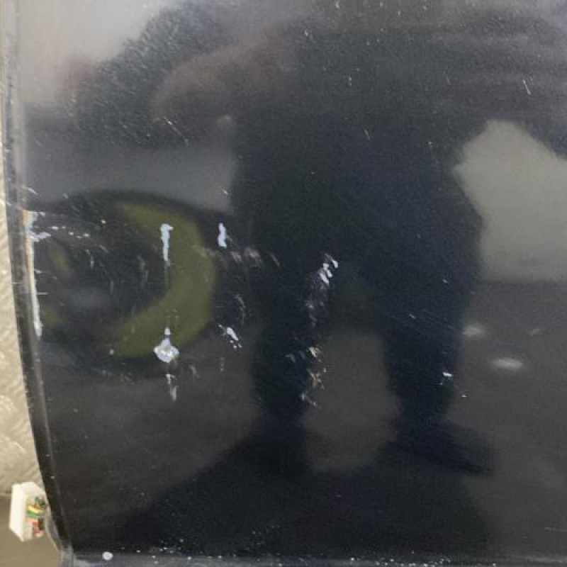Porte arriere gauche KIA SPORTAGE 2 Photo n°3