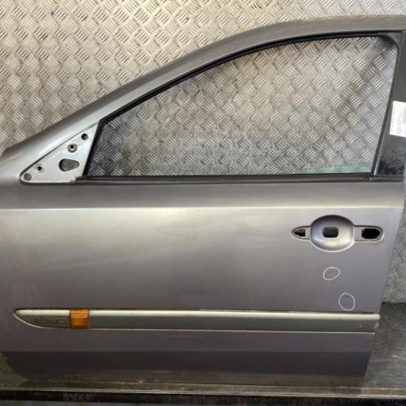 Porte avant gauche RENAULT LAGUNA 2 Photo n°1