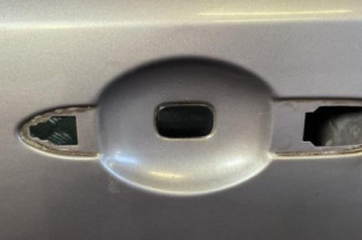 Porte avant gauche RENAULT LAGUNA 2