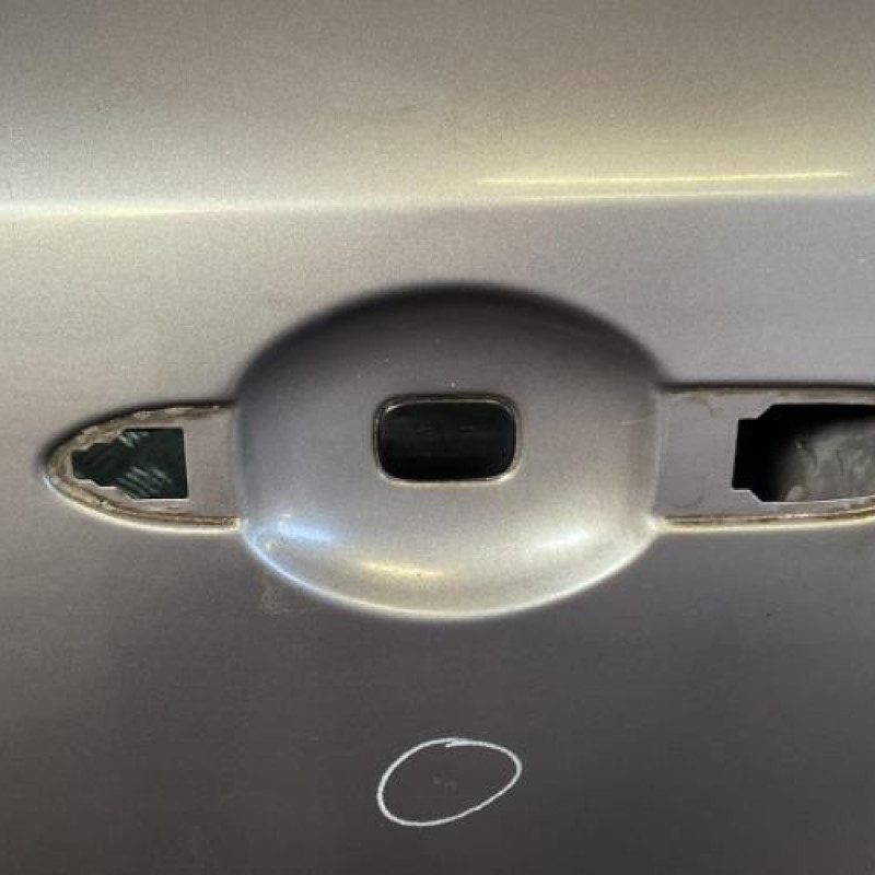Porte avant gauche RENAULT LAGUNA 2 Photo n°3
