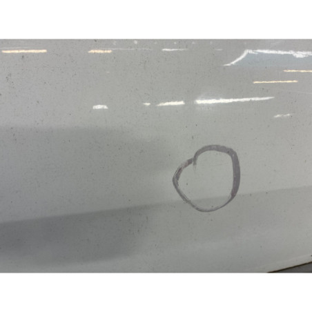 Porte avant droit RENAULT MEGANE 2