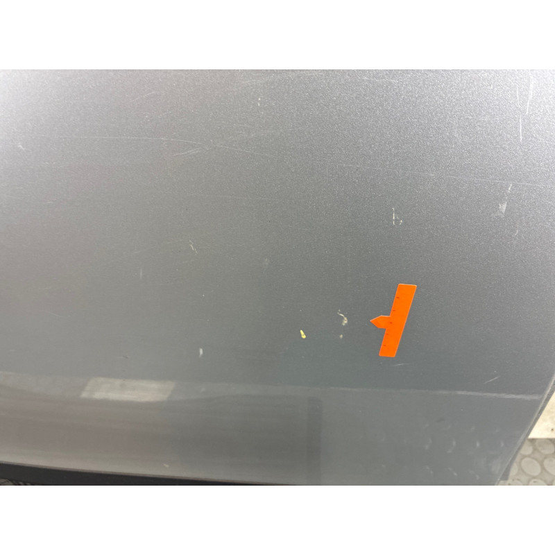 Porte arriere droit RENAULT SCENIC 3 Photo n°6