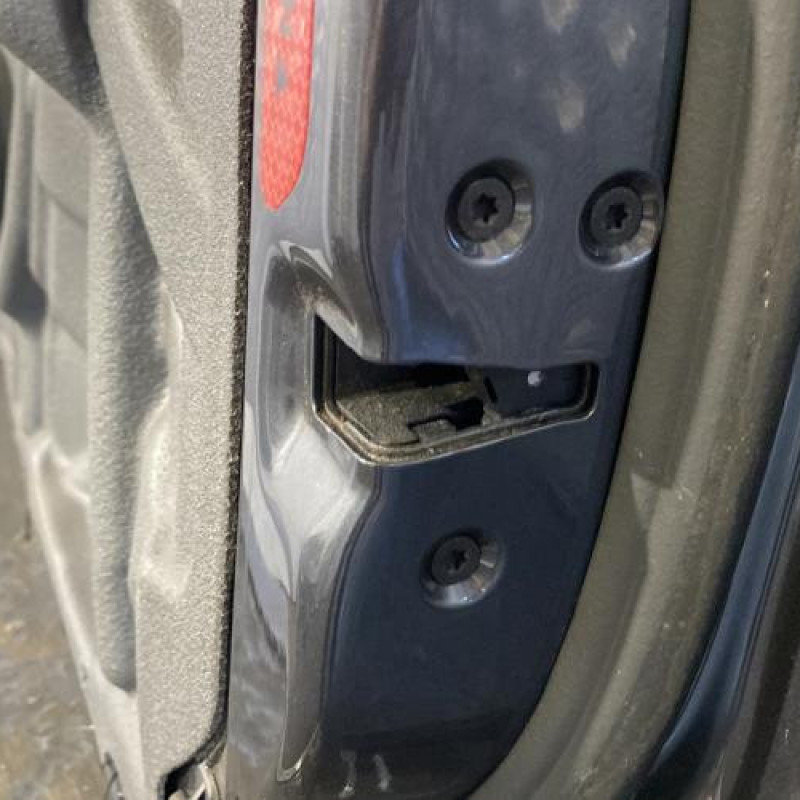 Porte avant droit FORD GALAXY 2 Photo n°5