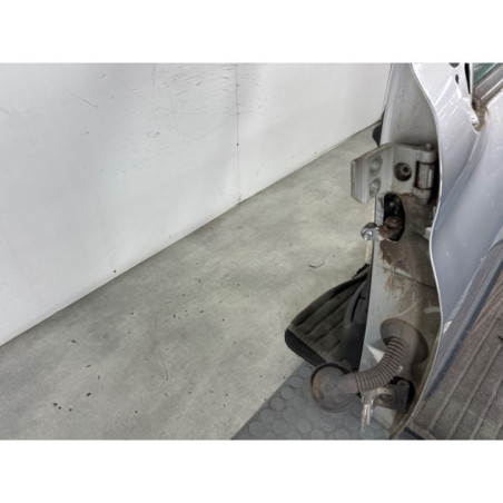 Porte avant gauche PEUGEOT 206+ Photo n°1