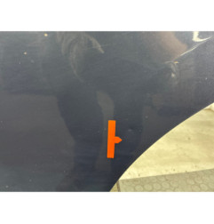 Porte arriere gauche FORD B-MAX