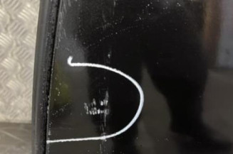 Porte arriere gauche RENAULT LAGUNA 3